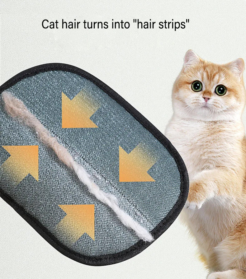 PawSwipe